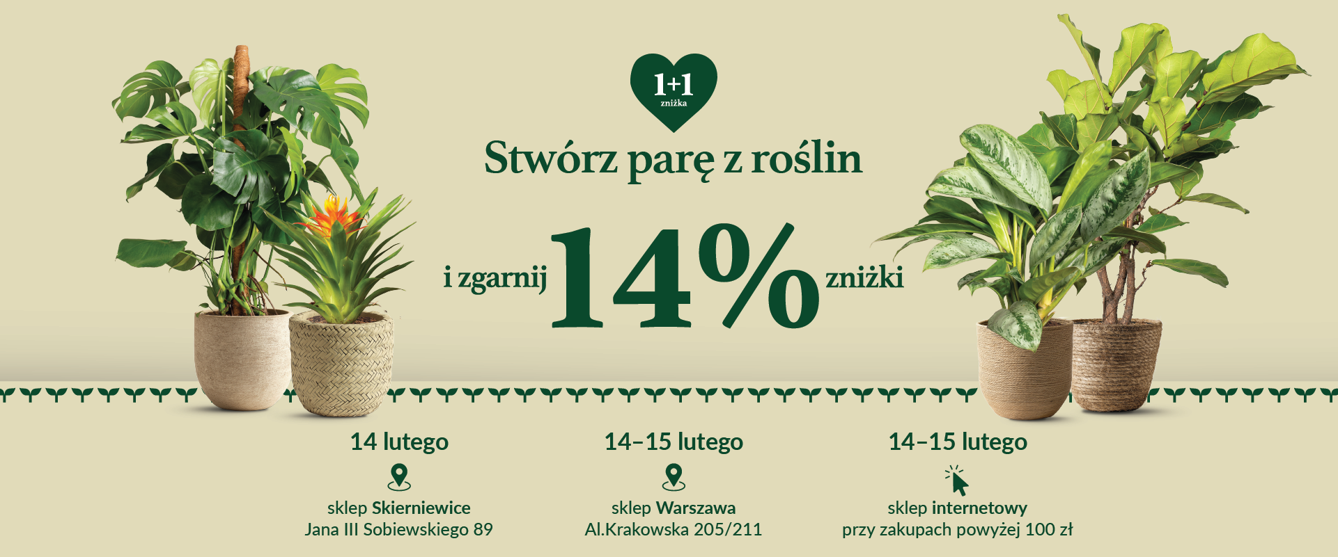 Stwórz parę z roślin Walentynki w Tomaszewskim